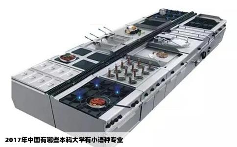 2017年中国有哪些本科大学有小语种专业