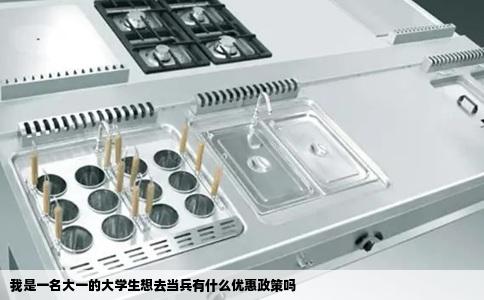 我是一名大一的大学生想去当兵有什么优惠政策吗