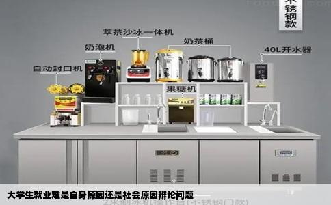 大学生就业难是自身原因还是社会原因辩论问题