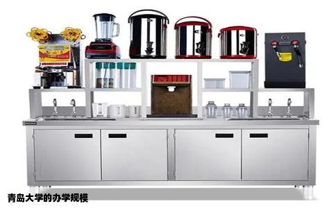 青岛大学的办学规模