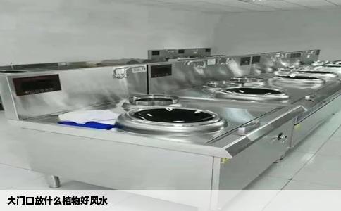 大门口放什么植物好风水