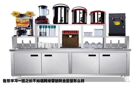 我想学习一技之长不知道网络营销就业前景怎么样