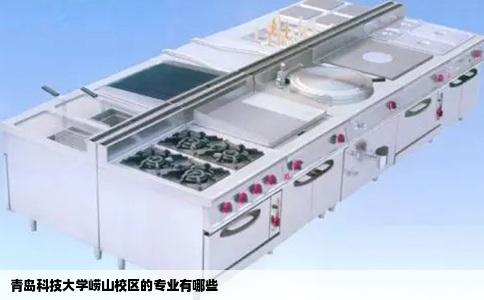 青岛科技大学崂山校区的专业有哪些