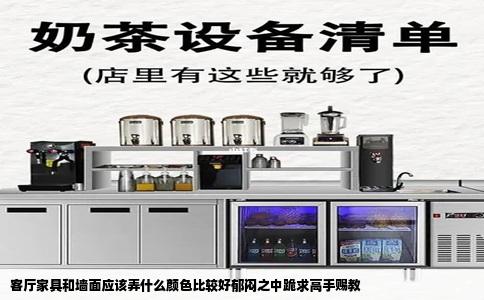 客厅家具和墙面应该弄什么颜色比较好郁闷之中跪求高手赐教