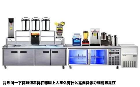 我想问一下你知道怎样在韩国上大学么有什么需要具体办理或者我在