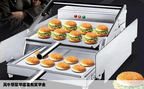 高中想留学哪里有奖学金