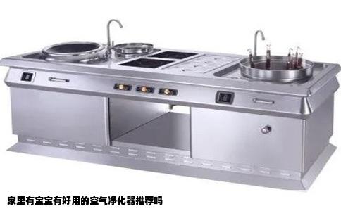 家里有宝宝有好用的空气净化器推荐吗