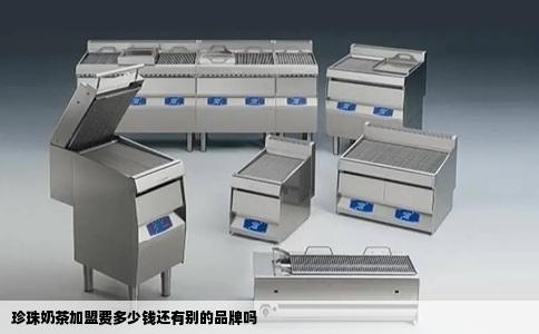 珍珠奶茶加盟费多少钱还有别的品牌吗