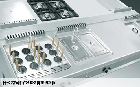什么冷柜牌子好怎么样挑选冷柜