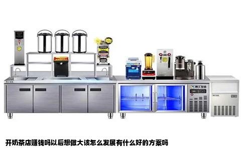 开奶茶店赚钱吗以后想做大该怎么发展有什么好的方案吗