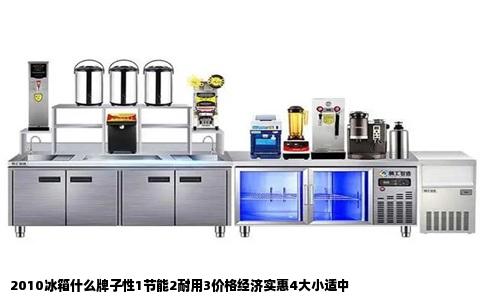 2010冰箱什么牌子性1节能2耐用3价格经济实惠4大小适中