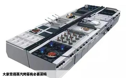 大家觉得蒸汽烤箱有必要买吗