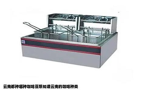 云南都种哪种咖啡豆想知道云南的咖啡种类