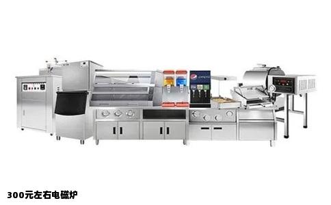300元左右电磁炉