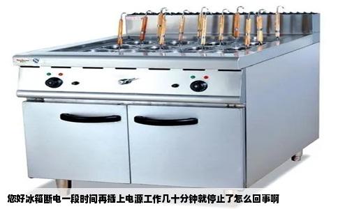 您好冰箱断电一段时间再插上电源工作几十分钟就停止了怎么回事啊