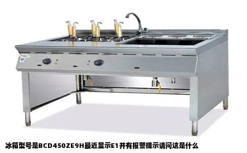 冰箱型号是BCD450ZE9H最近显示E1并有报警提示请问这是什么