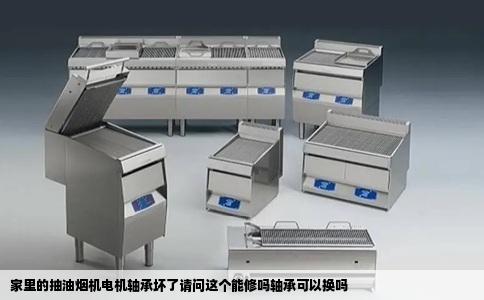 家里的抽油烟机电机轴承坏了请问这个能修吗轴承可以换吗