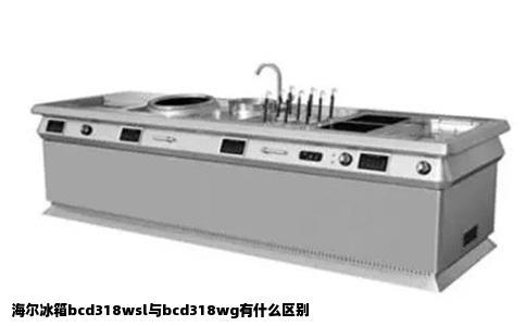 海尔冰箱bcd318wsl与bcd318wg有什么区别