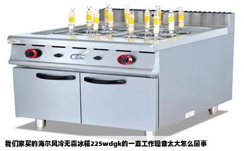 我们家买的海尔风冷无霜冰箱225wdgk的一直工作噪音太大怎么回事