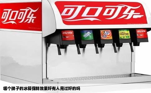 哪个牌子的冰箱保鲜效果好有人用过好的吗