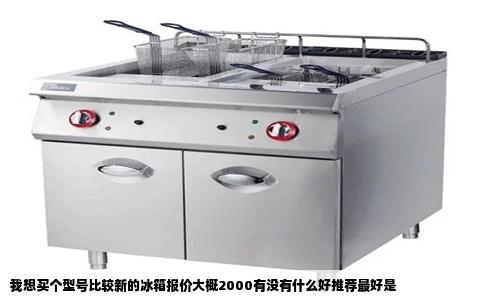 我想买个型号比较新的冰箱报价大概2000有没有什么好推荐最好是
