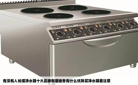 有没有人知道净水器十大品牌有哪些各有什么优势买净水器要注意