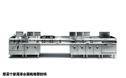 想买个家用净水器有推荐的吗