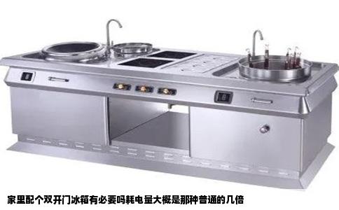 家里配个双开门冰箱有必要吗耗电量大概是那种普通的几倍