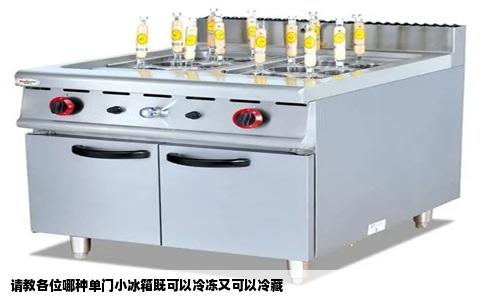 请教各位哪种单门小冰箱既可以冷冻又可以冷藏