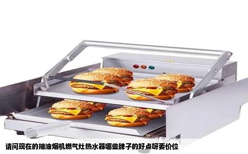请问现在的抽油烟机燃气灶热水器哪些牌子的好点呀要价位