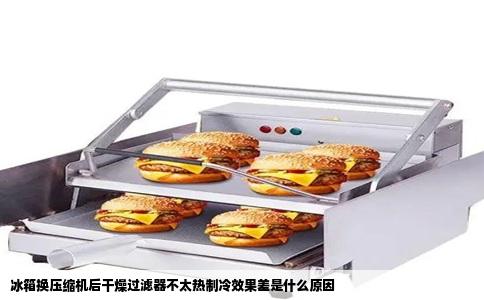 冰箱换压缩机后干燥过滤器不太热制冷效果差是什么原因