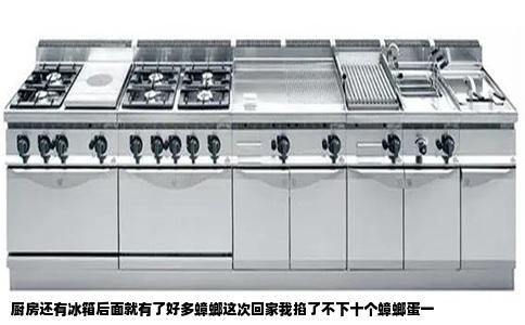 厨房还有冰箱后面就有了好多蟑螂这次回家我掐了不下十个蟑螂蛋一