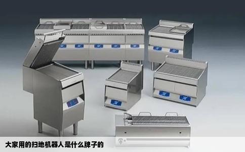 大家用的扫地机器人是什么牌子的