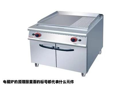 电磁炉的原理图里面的标号都代表什么元件