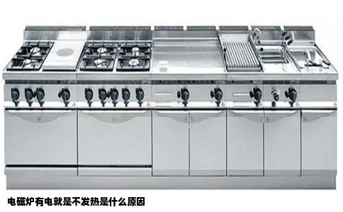 电磁炉有电就是不发热是什么原因