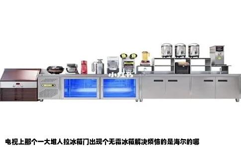 电视上那个一大堆人拉冰箱门出现个无霜冰箱解决烦恼的是海尔的哪