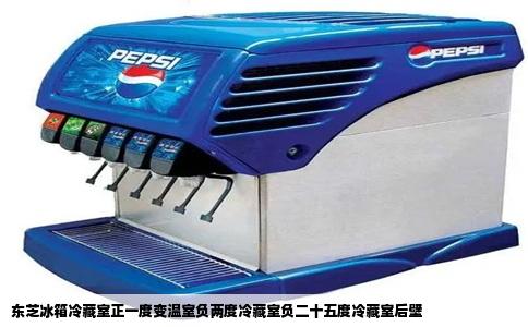 东芝冰箱冷藏室正一度变温室负两度冷藏室负二十五度冷藏室后壁