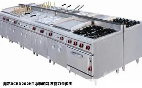 海尔BCBD202HT冰箱的冷冻能力是多少