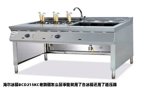 海尔冰箱BCD215KC老跳砸怎么回事我就用了台冰箱还用了稳压器