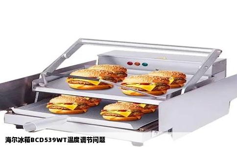 海尔冰箱BCD539WT温度调节问题