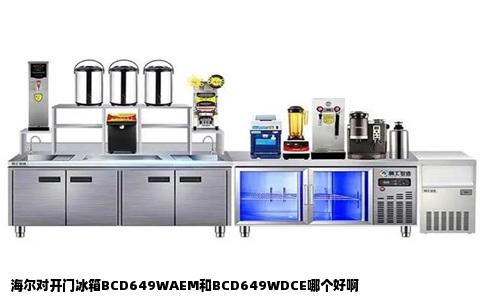 海尔对开门冰箱BCD649WAEM和BCD649WDCE哪个好啊