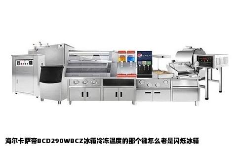 海尔卡萨帝BCD290WBCZ冰箱冷冻温度的那个键怎么老是闪烁冰箱