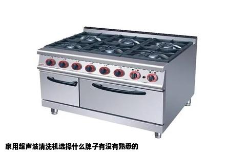 家用超声波清洗机选择什么牌子有没有熟悉的
