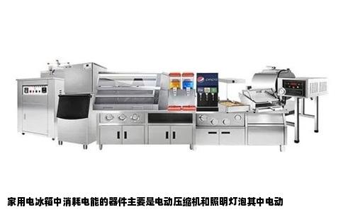 家用电冰箱中消耗电能的器件主要是电动压缩机和照明灯泡其中电动