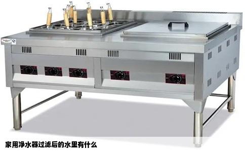 家用净水器过滤后的水里有什么