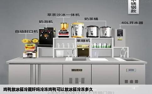 鸡鸭放冰箱冷藏好吗冷冻鸡鸭可以放冰箱冷冻多久