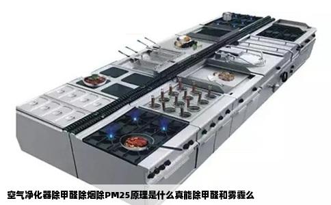 空气净化器除甲醛除烟除PM25原理是什么真能除甲醛和雾霾么