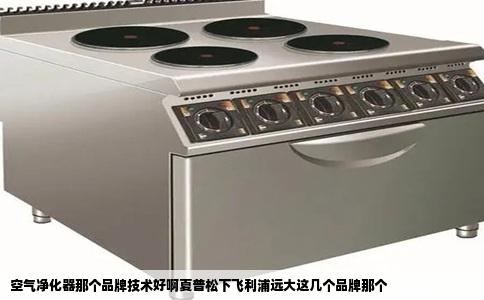 空气净化器那个品牌技术好啊夏普松下飞利浦远大这几个品牌那个