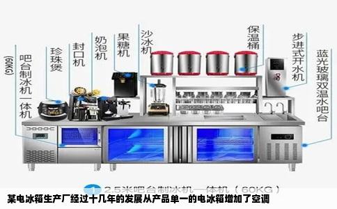 某电冰箱生产厂经过十几年的发展从产品单一的电冰箱增加了空调