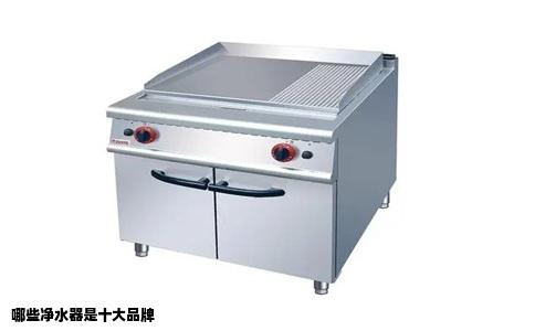 哪些净水器是十大品牌